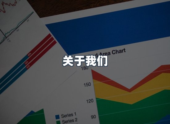 专业团队